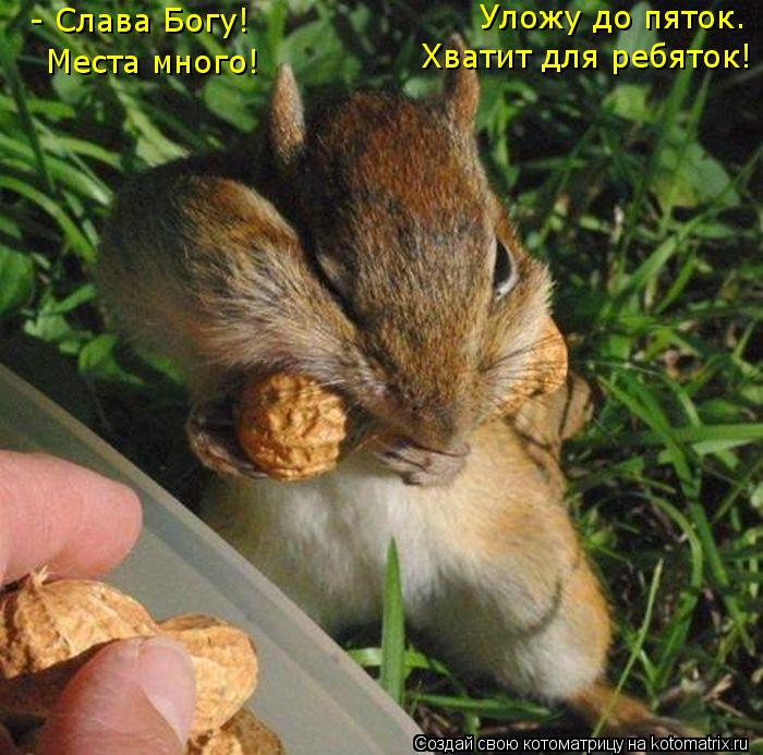 - Слава Богу! Места много! Уложу до пяток. Хватит для ребяток!... Котоматрица: - Слава Богу! Места много! Уложу до пяток. Хватит для ребяток!