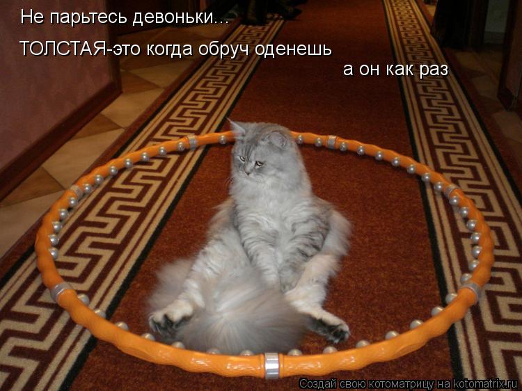 Не парьтесь девоньки... ТОЛСТАЯ-это когда обруч оденешь а он как раз... Котоматрица: Не парьтесь девоньки... ТОЛСТАЯ-это когда обруч оденешь а он как раз