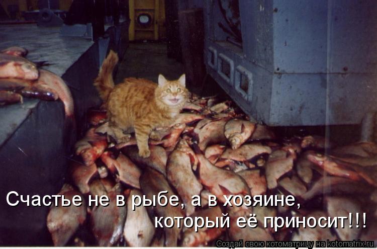 Счастье не в рыбе, а в хозяине, который её приносит!!!... Котоматрица: Счастье не в рыбе, а в хозяине, который её приносит!!!