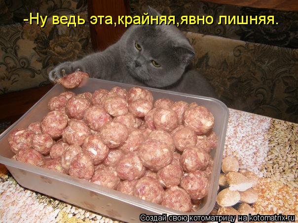 Котоматрица: -Ну ведь эта,крайняя,явно лишняя.