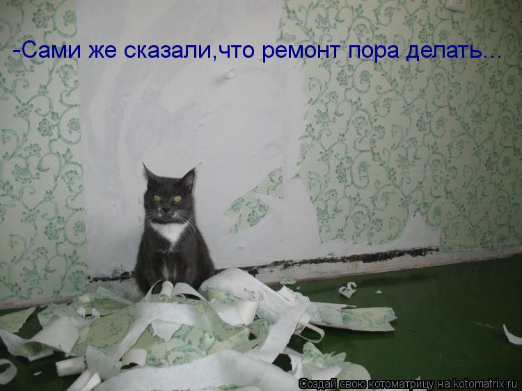 Котоматрица: -Сами же сказали,что ремонт пора делать...