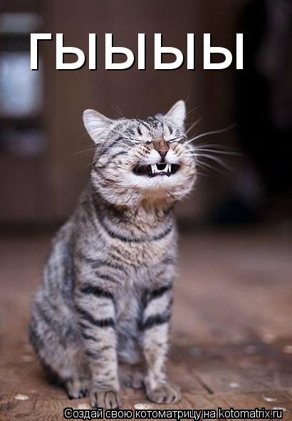 Котоматрица: гыыыы
