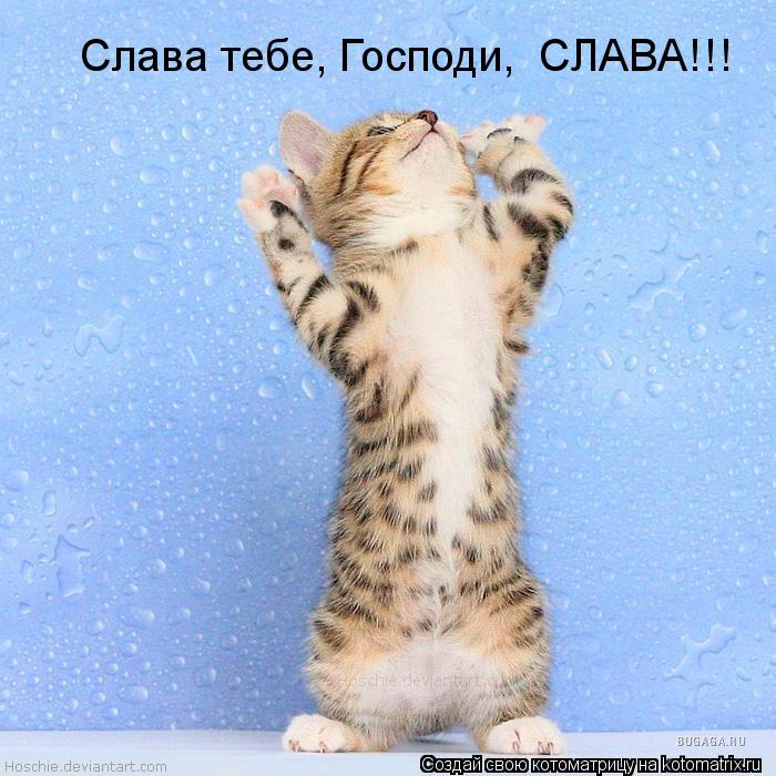 Котоматрица: Слава тебе, Господи,  СЛАВА!!!