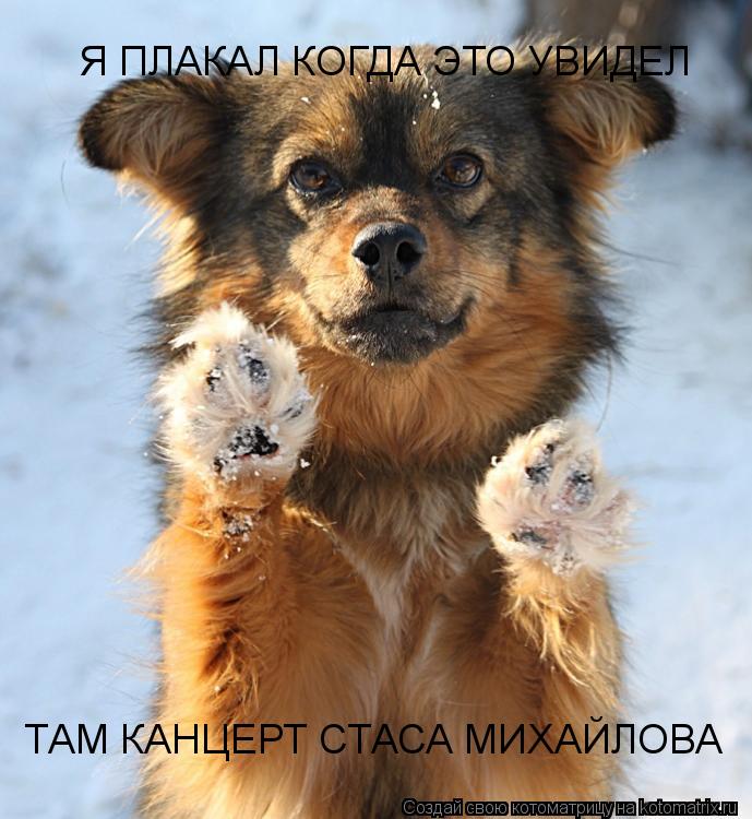 Я ПЛАКАЛ КОГДА ЭТО УВИДЕЛ ТАМ КАНЦЕРТ СТАСА МИХАЙЛОВА... Котоматрица: Я ПЛАКАЛ КОГДА ЭТО УВИДЕЛ ТАМ КАНЦЕРТ СТАСА МИХАЙЛОВА