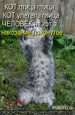 КОТ:птица птица ГЫ ГЫ КОТ:улетела птица ЧЕЛОВЕК:не кот а, накозание лохонутое... Котоматрица: КОТ:птица птица ГЫ ГЫ КОТ:улетела птица ЧЕЛОВЕК:не кот а, накозание лохонутое