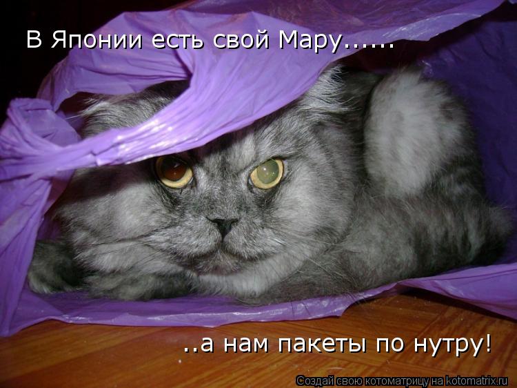 В Японии есть свой Мару......а нам пакеты по нутру! В Японии есть свой Мару......а нам пакеты по нутр... Котоматрица: В Японии есть свой Мару......а нам пакеты по нутру! В Японии есть свой Мару......а нам пакеты по нутру! В Японии есть свой Мару...... ..а нам пакеты п