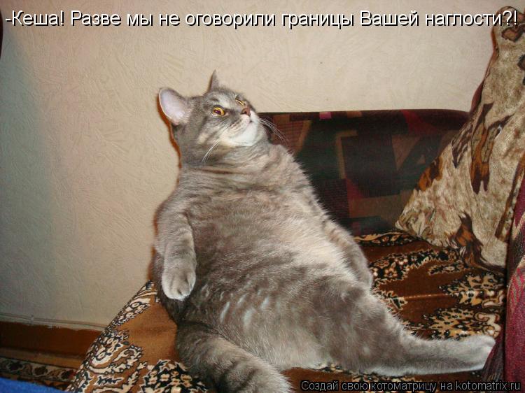 -Кеша! Разве мы не оговорили границы Вашей наглости?!... Котоматрица: -Кеша! Разве мы не оговорили границы Вашей наглости?!