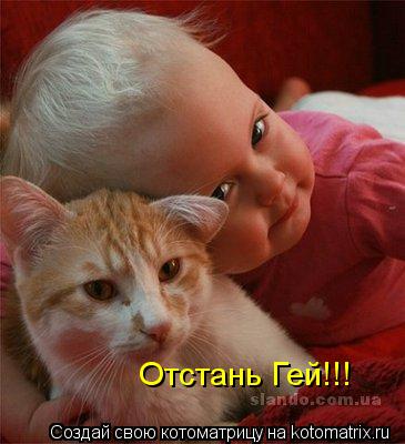 Отстань Гей!!!... Котоматрица: Отстань Гей!!!