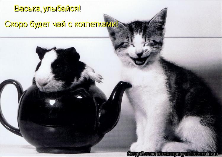 Васька,улыбайся! Скоро будет чай с котлетками!... Котоматрица: Васька,улыбайся! Скоро будет чай с котлетками!