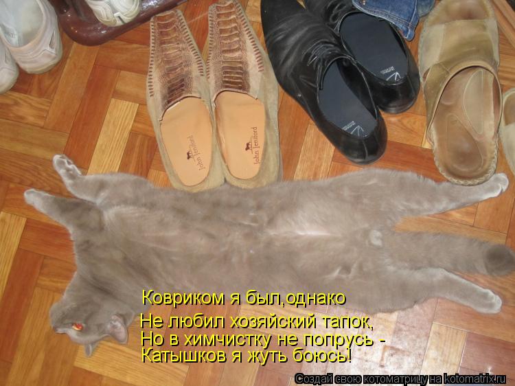 Ковриком я был,однако Не любил хозяйский тапок, Но в химчистку не попрусь - Катышков я жуть боюсь!... Котоматрица: Ковриком я был,однако Не любил хозяйский тапок, Но в химчистку не попрусь - Катышков я жуть боюсь!