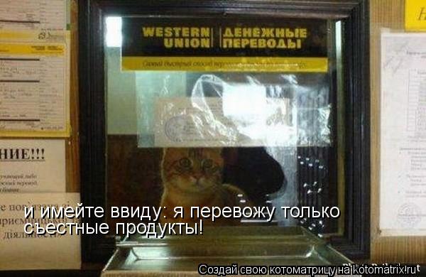 и имейте ввиду: я перевожу только съестные продукты!... Котоматрица: и имейте ввиду: я перевожу только съестные продукты!