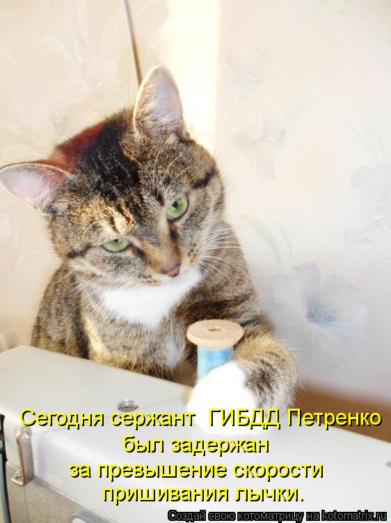 Сегодня сержант ГИБДД Петренко был задержан за превышение скорости пришивания лычки.... Котоматрица: Сегодня сержант ГИБДД Петренко был задержан за превышение скорости пришивания лычки.