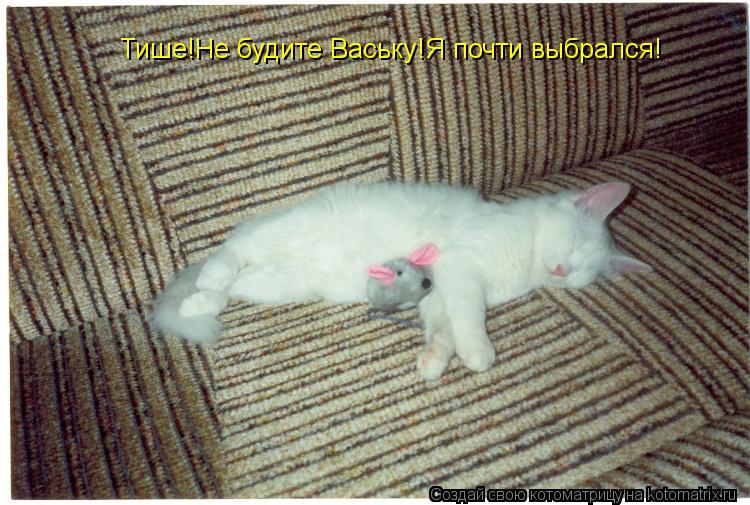 Тише!Не будите Ваську!Я почти выбрался!... Котоматрица: Тише!Не будите Ваську!Я почти выбрался!