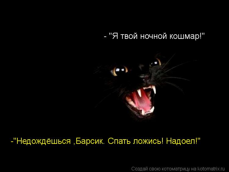 - "Я твой ночной кошмар!" -"Недождёшься ,Барсик. Спать ложись! Надоел!"... Котоматрица: - "Я твой ночной кошмар!" -"Недождёшься ,Барсик. Спать ложись! Надоел!"
