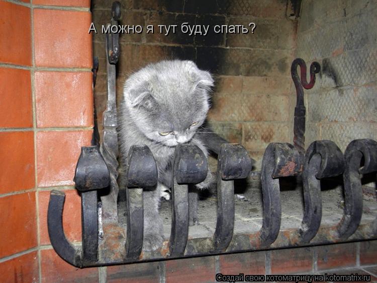 А можно я тут буду спать?... Котоматрица: А можно я тут буду спать?