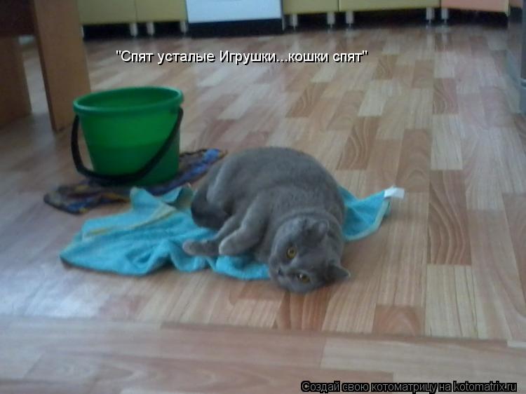 "Спят усталые Игрушки...кошки спят"... Котоматрица: "Спят усталые Игрушки...кошки спят"