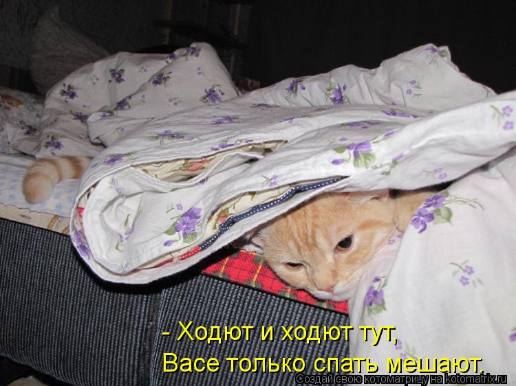 Васе только спать мешают. - Ходют и ходют тут,... Котоматрица: Васе только спать мешают. - Ходют и ходют тут,