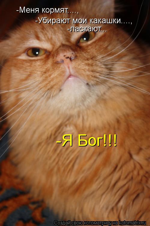 -Меня кормят...., -Убирают мои какашки...., -Я Бог!!! -ласкают...... Котоматрица: -Меня кормят...., -Убирают мои какашки...., -Я Бог!!! -ласкают...