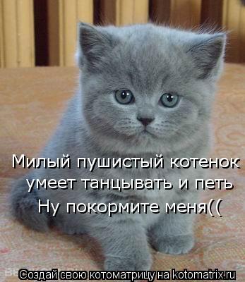 Милый пушистый котенок Милый пушистый котенок умеет танцывать и петь Ну покормите меня((... Котоматрица: Милый пушистый котенок Милый пушистый котенок умеет танцывать и петь Ну покормите меня((