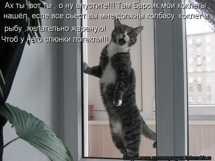Ах ты ,вот ты , о ну впустите!!! Там Барсик мои коклеты нашёл, есле все сьест вы мне должны колбасу,... Котоматрица: Ах ты ,вот ты , о ну впустите!!! Там Барсик мои коклеты нашёл, есле все сьест вы мне должны колбасу, коклет и рыбу ,желательно жареную! Чтоб у не