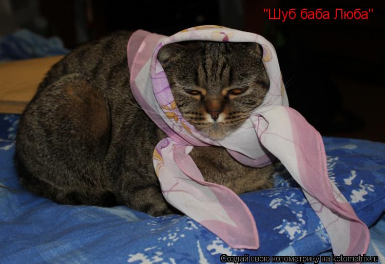 "Шуб баба Люба"... Котоматрица: "Шуб баба Люба"