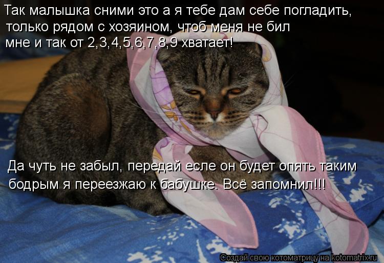 Так малышка сними это а я тебе дам себе погладить, только рядом с хозяином, чтоб меня не бил мне и та... Котоматрица: Так малышка сними это а я тебе дам себе погладить, только рядом с хозяином, чтоб меня не бил мне и так от 2,3,4,5,6,7,8,9 хватает! Да чуть не забыл, п