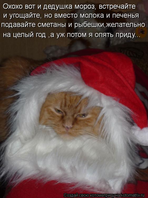 Охохо вот и дедушка мороз, встречайте Охохо вот и дедушка мороз, встречайте и угощайте, но вместо м... Котоматрица: Охохо вот и дедушка мороз, встречайте Охохо вот и дедушка мороз, встречайте и угощайте, но вместо молока и печенья подавайте сметаны и рыб