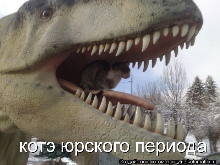 котэ юрского периода... Котоматрица: котэ юрского периода