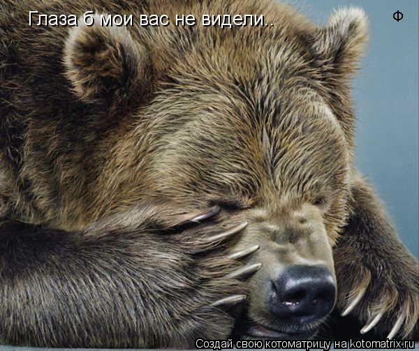 Глаза б мои вас не видели..... Котоматрица: Глаза б мои вас не видели..