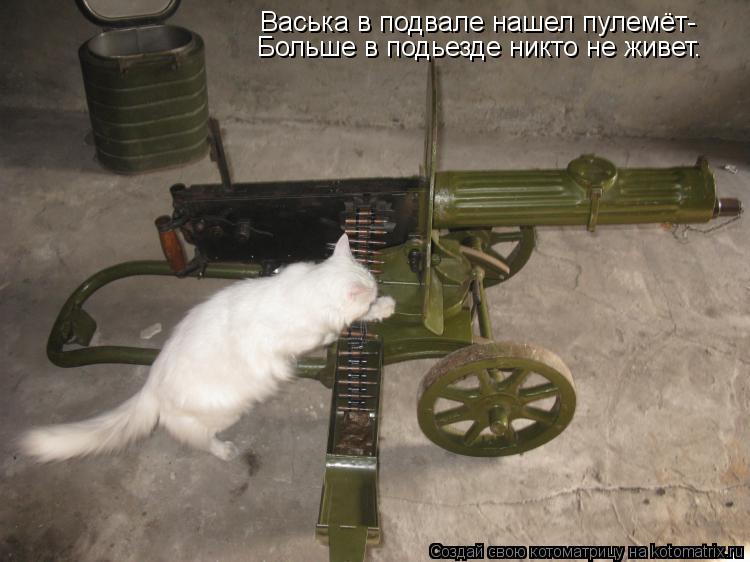 Васька в подвале нашел пулемёт- Больше в подьезде никто не живет.... Котоматрица: Васька в подвале нашел пулемёт- Больше в подьезде никто не живет.