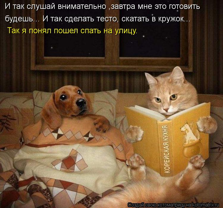 И так слушай внимательно ,завтра мне это готовить будешь... И так сделать тесто, скатать в кружок...... Котоматрица: И так слушай внимательно ,завтра мне это готовить будешь... И так сделать тесто, скатать в кружок... Так я понял пошел спать на улицу.