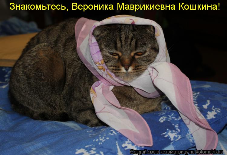 Знакомьтесь, Вероника Маврикиевна Кошкина!... Котоматрица: Знакомьтесь, Вероника Маврикиевна Кошкина!
