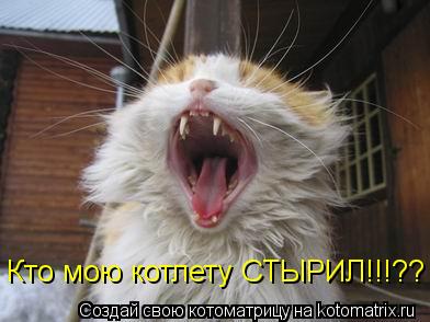 Кто мою котлету СТЫРИЛ!!!??... Котоматрица: Кто мою котлету СТЫРИЛ!!!??