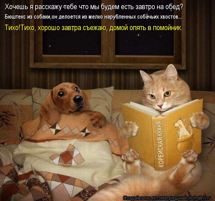 Хочешь я расскажу тебе что мы будем есть завтро на обед? Бюштекс из собаки,он делоется из мелко наруб... Котоматрица: Хочешь я расскажу тебе что мы будем есть завтро на обед? Бюштекс из собаки,он делоется из мелко нарубленных собачьих хвостов... Тихо!Тихо, хо
