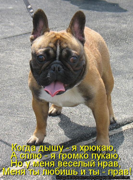 Но у меня веселый нрав, А сплю - я громко пукаю, Когда дышу - я хрюкаю, Меня ты любишь и ты - прав!... Котоматрица: Но у меня веселый нрав, А сплю - я громко пукаю, Когда дышу - я хрюкаю, Меня ты любишь и ты - прав!