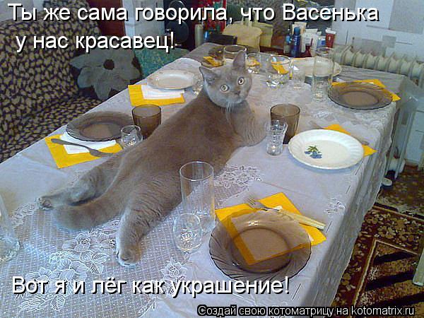 Ты же сама говорила, что Васенька у нас красавец! Вот я и лёг как украшение!... Котоматрица: Ты же сама говорила, что Васенька у нас красавец! Вот я и лёг как украшение!