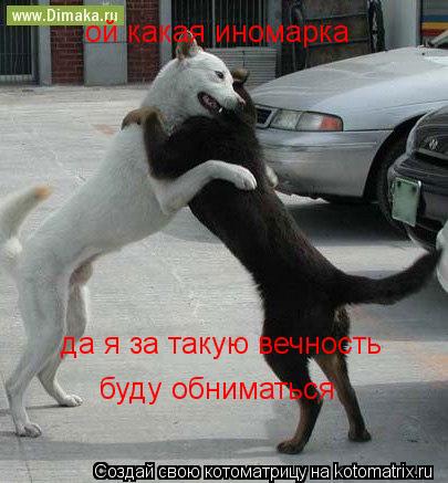 ой какая иномарка да я за такую вечность буду обниматься... Котоматрица: ой какая иномарка да я за такую вечность буду обниматься