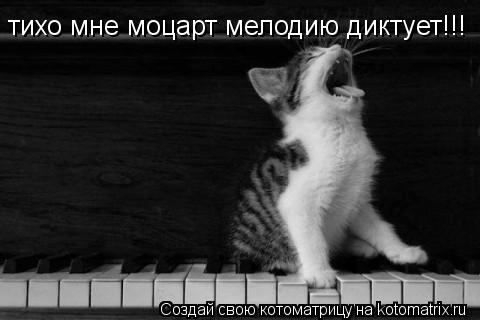 тихо мне моцарт мелодию диктует!!!... Котоматрица: тихо мне моцарт мелодию диктует!!!