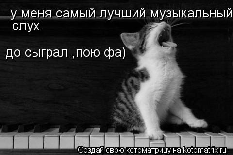 у меня самый лучший музыкальный слух до сыграл ,пою фа)... Котоматрица: у меня самый лучший музыкальный слух до сыграл ,пою фа)