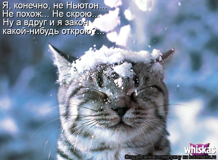 Я, конечно, не Ньютон... Ну а вдруг и я закон какой-нибудь открою?... Не похож... Не скрою...... Котоматрица: Я, конечно, не Ньютон... Ну а вдруг и я закон какой-нибудь открою?... Не похож... Не скрою...
