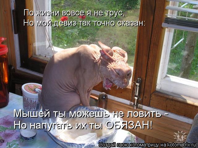 По жизни вовсе я не трус, Но мой девиз так точно сказан: Мышей ты можешь не ловить - Но напугать их т... Котоматрица: По жизни вовсе я не трус, Но мой девиз так точно сказан: Мышей ты можешь не ловить - Но напугать их ты ОБЯЗАН!