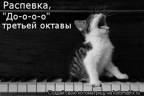 Распевка "До-о-о-о" третьей октавы ,... Котоматрица: Распевка "До-о-о-о" третьей октавы ,
