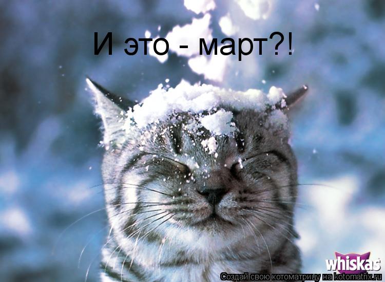 И это - март?!... Котоматрица: И это - март?!