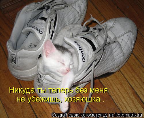 Никуда ты теперь без меня не убежишь, хозяюшка..... Котоматрица: Никуда ты теперь без меня не убежишь, хозяюшка..