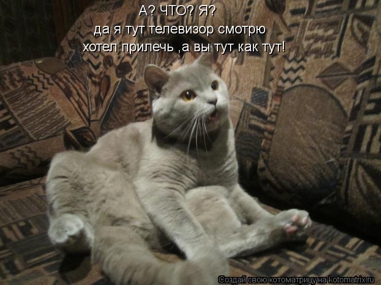А? ЧТО? Я? да я тут телевизор смотрю хотел прилечь ,а вы тут как тут!... Котоматрица: А? ЧТО? Я? да я тут телевизор смотрю хотел прилечь ,а вы тут как тут!
