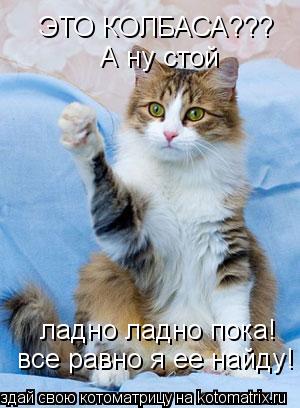 ЭТО КОЛБАСА??? А ну стой ладно ладно пока! все равно я ее найду!... Котоматрица: ЭТО КОЛБАСА??? А ну стой ладно ладно пока! все равно я ее найду!