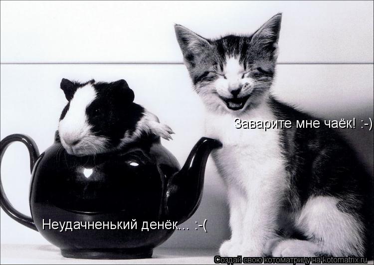 Заварите мне чаёк! :-) Неудачненький денёк... :-(... Котоматрица: Заварите мне чаёк! :-) Неудачненький денёк... :-(