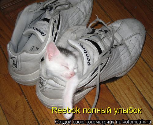 Reebok полный улыбок... Котоматрица: Reebok полный улыбок