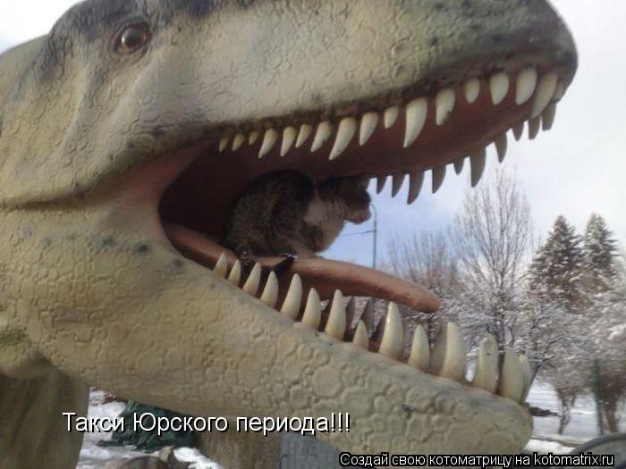 Такси Юрского периода!!!... Котоматрица: Такси Юрского периода!!!