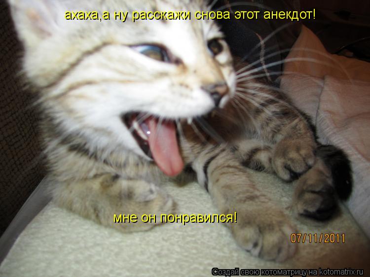ахаха,а ну расскажи снова этот анекдот! мне он понравился!... Котоматрица: ахаха,а ну расскажи снова этот анекдот! мне он понравился!